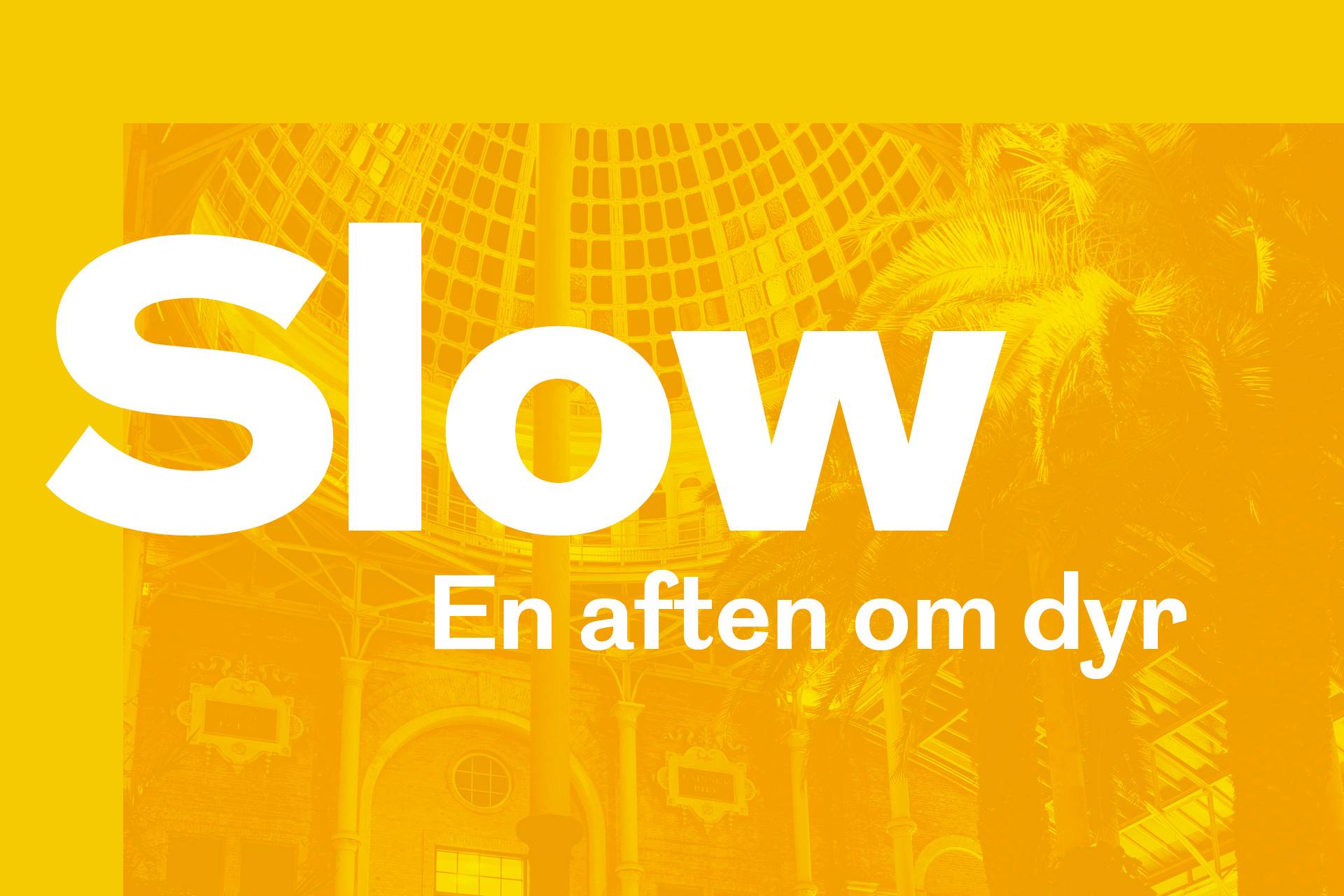 Billedbeskrivelse